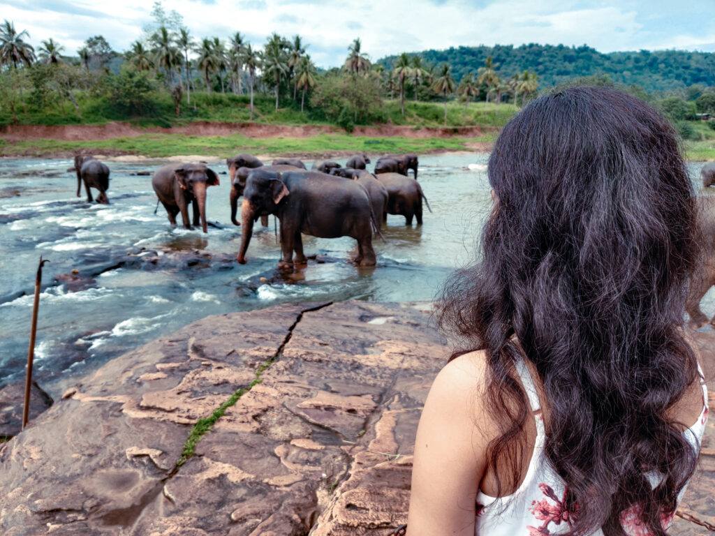 Sri Lanka travel story