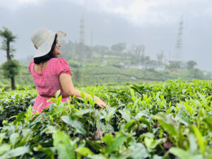 Read more about the article Munnar Travel Guide